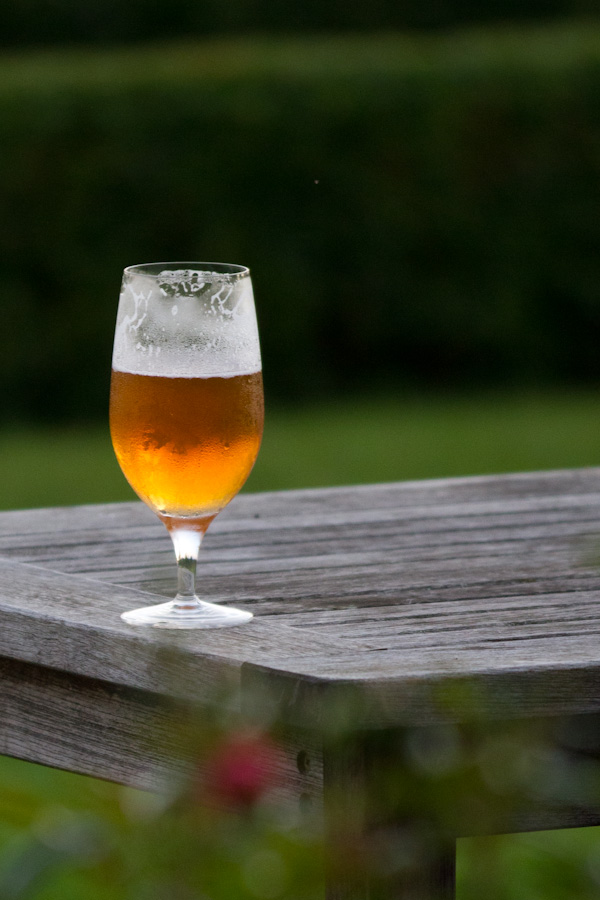Afternoon Beer