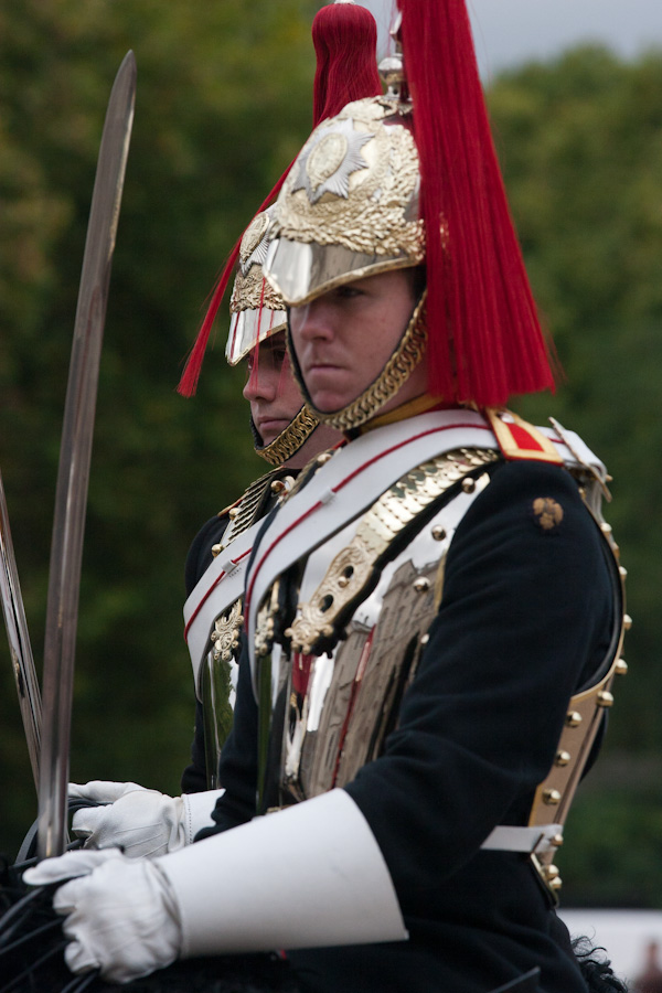 Horse Guard