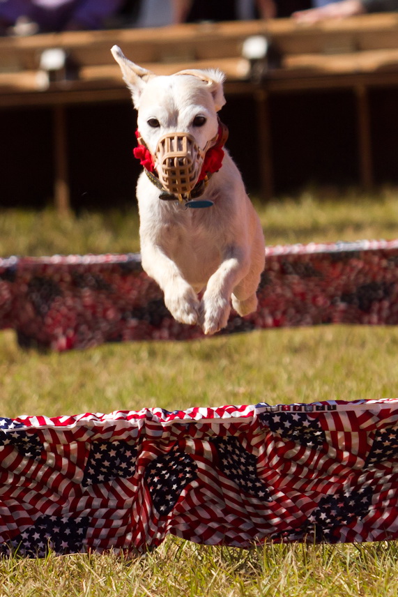 Flying Russell