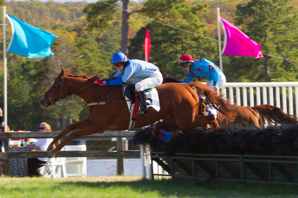Steeplechase