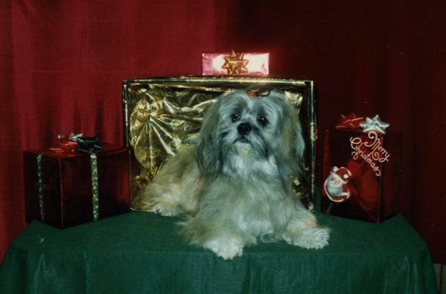 Razz at Christmas