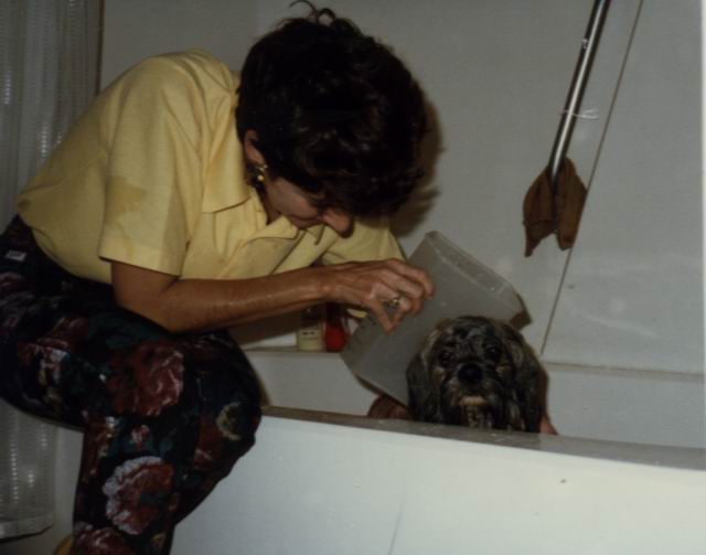 Getting a Bath