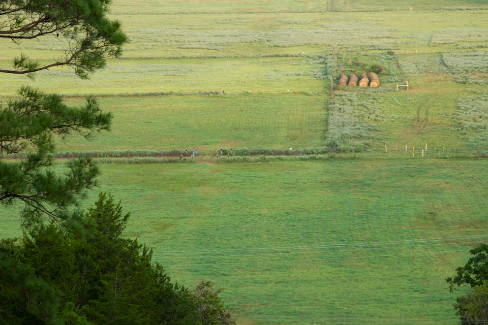 Texas Farm Land