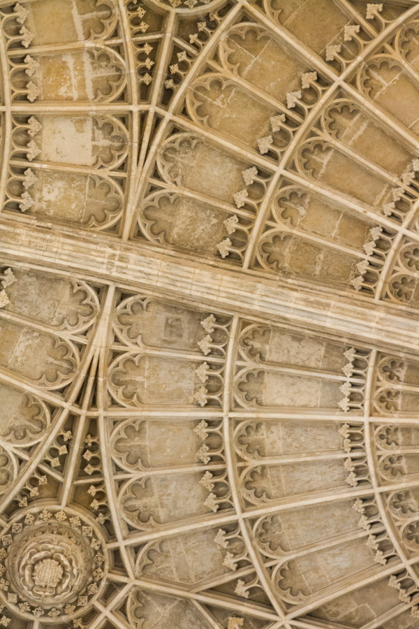 Fancy Ceiling