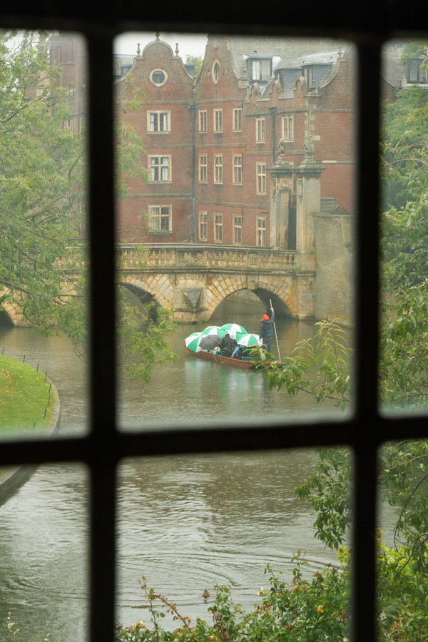 Wet Punting