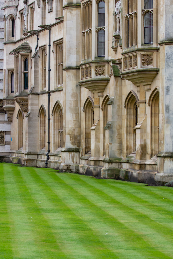 Nice Grass