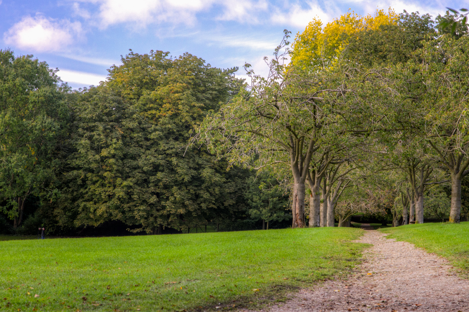 Royal Victoria Park