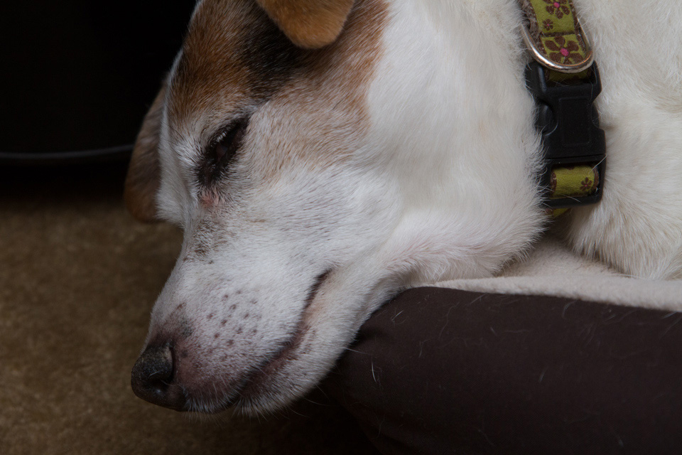 Sleepy Russell