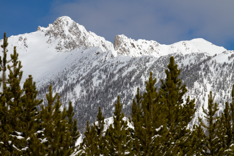 Gallatin Peak