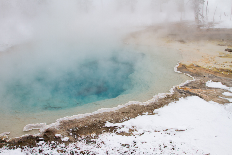 Celestine Spring 