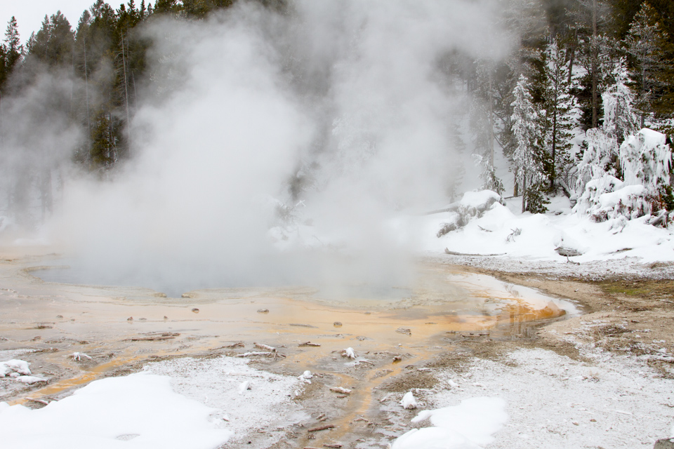 Hot and Cold