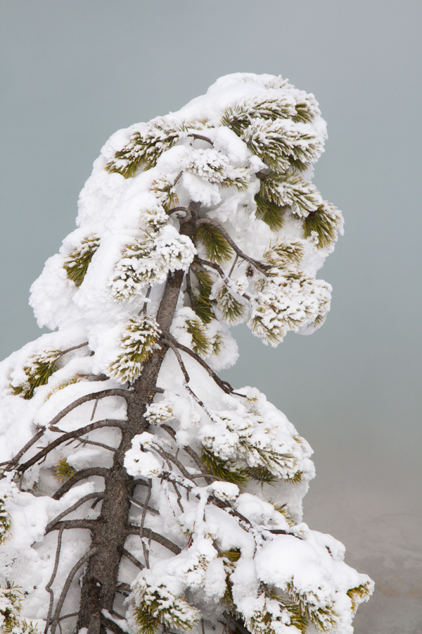Heavy Snow