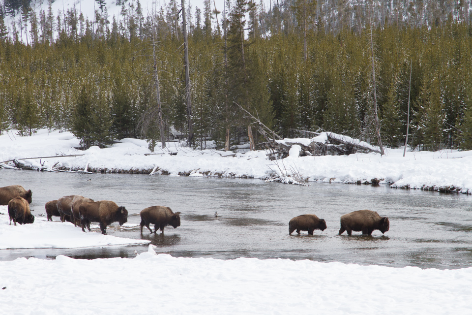 River Crossing