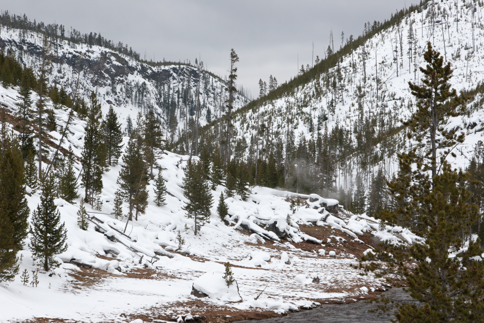 Gibbon River Valley