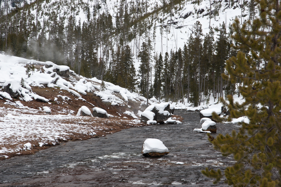 Gibbon River