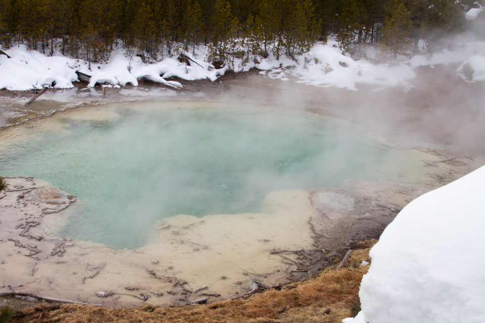 Emerald Spring