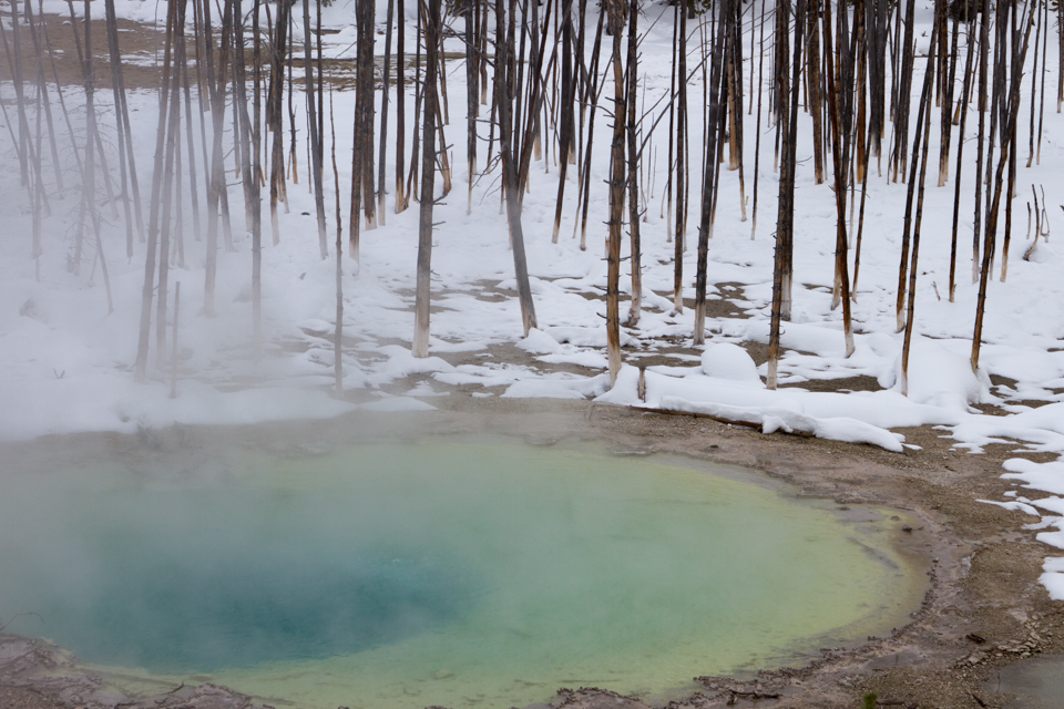 Cistern Spring 