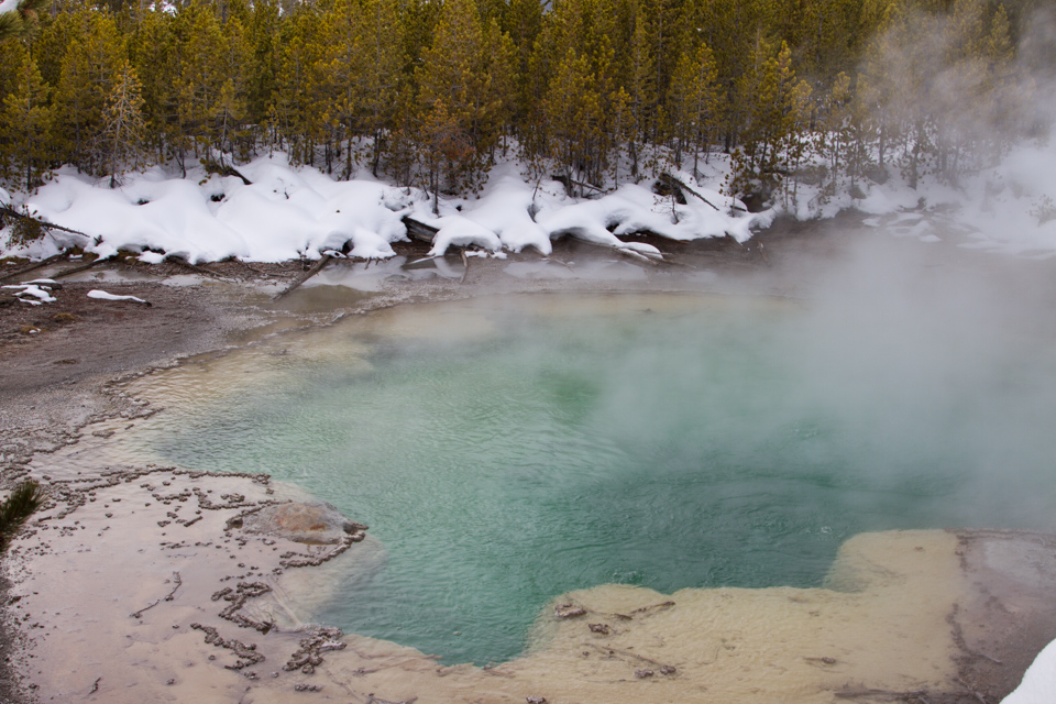 Echinus Geyser