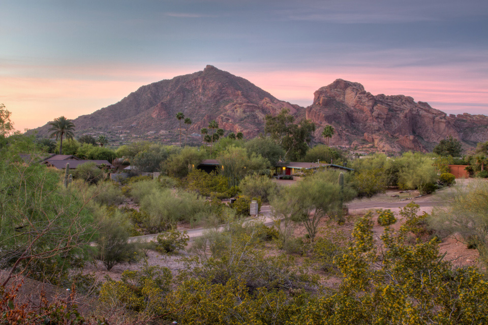 Camelback