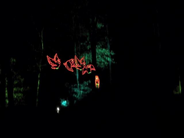 Fantasy In Lights