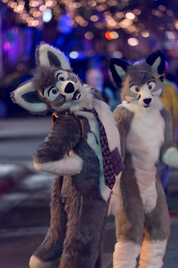 Dancing Cats