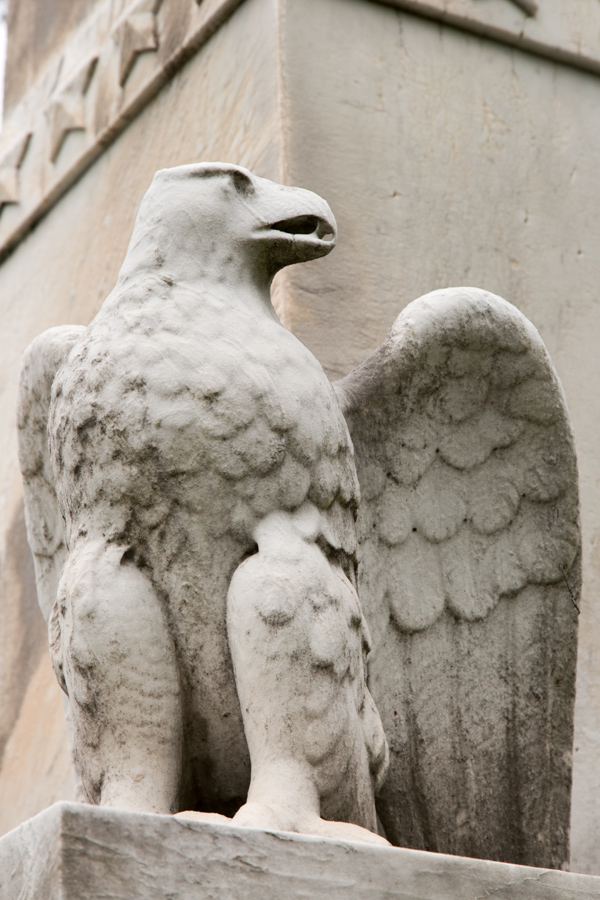 Worn Eagle