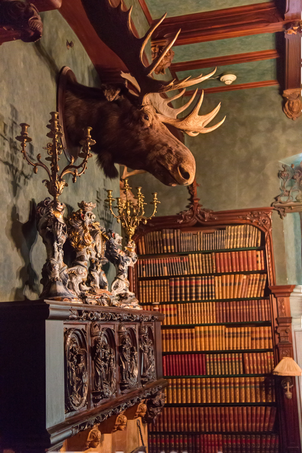 The Libary