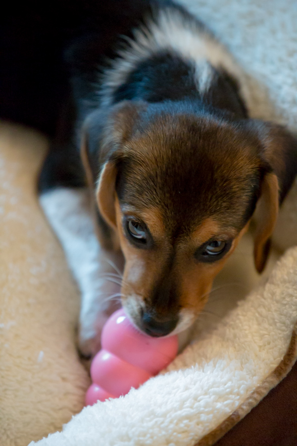 My Kong