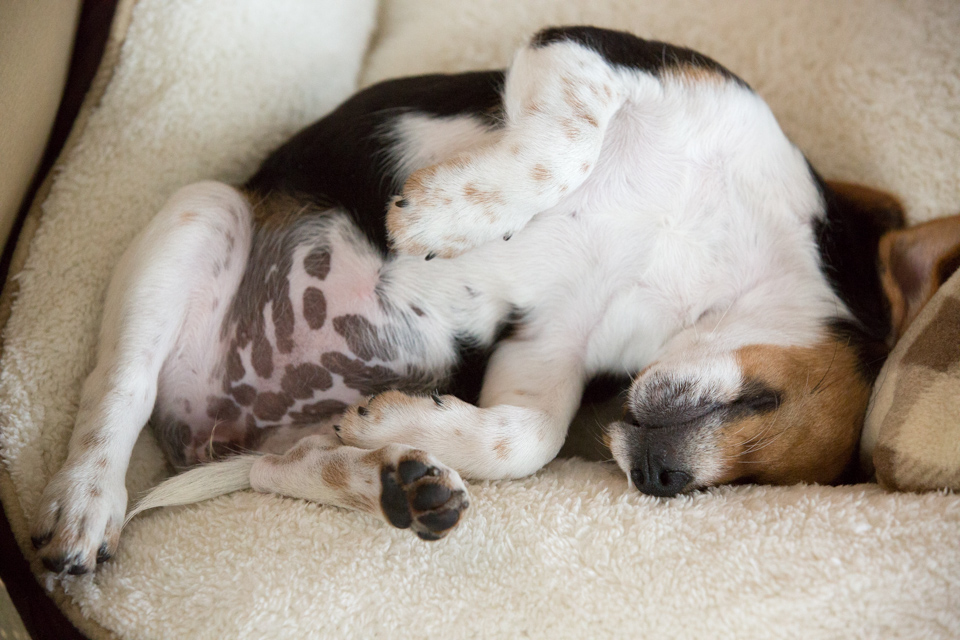 Relaxed Defined