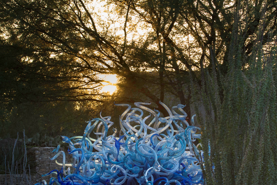 Blur Fiori Sun