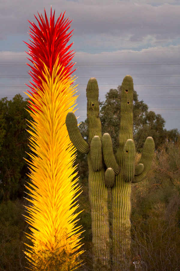 Spiny Glass and Spiny Cactus