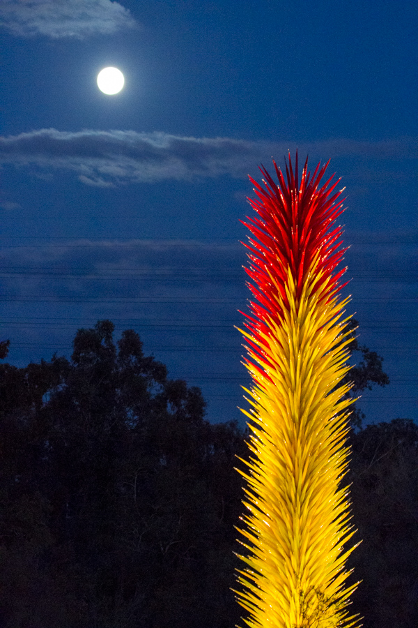 Glass in Moonlight