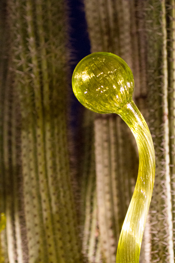 Cactus Glass