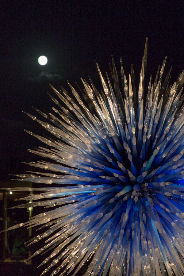 Sapphire Star