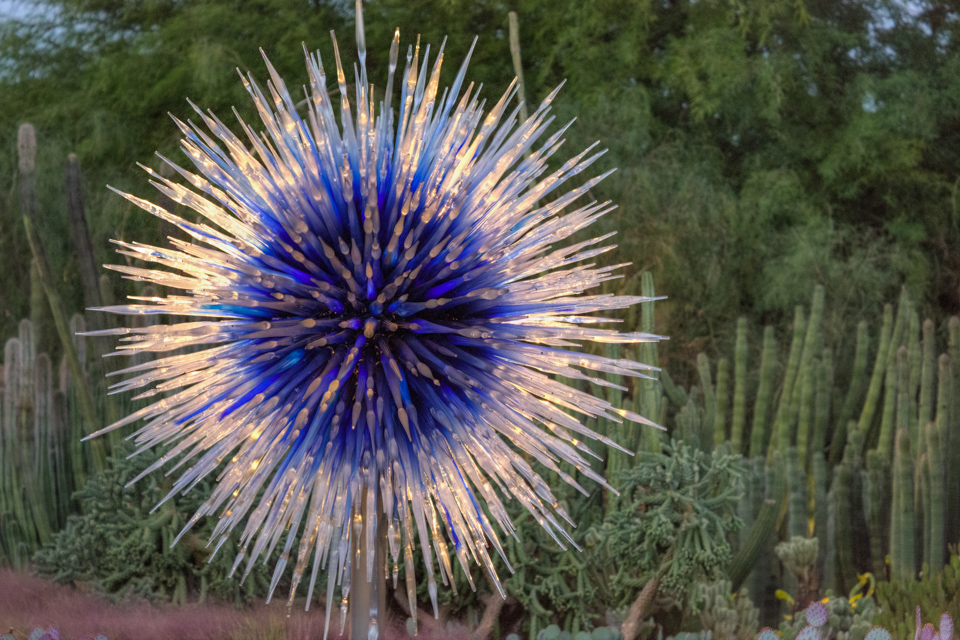 Sapphire Star