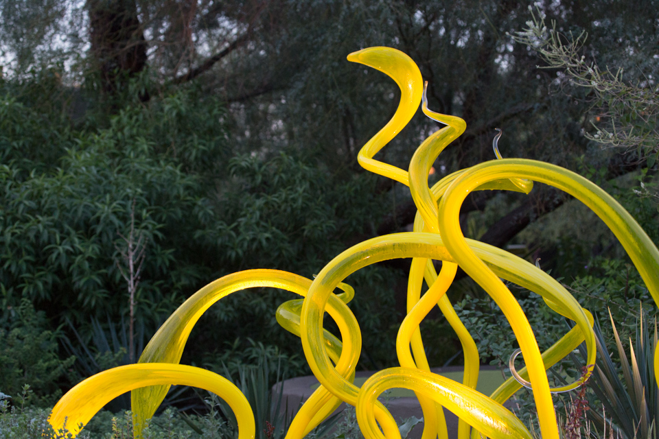 Yellow Detail