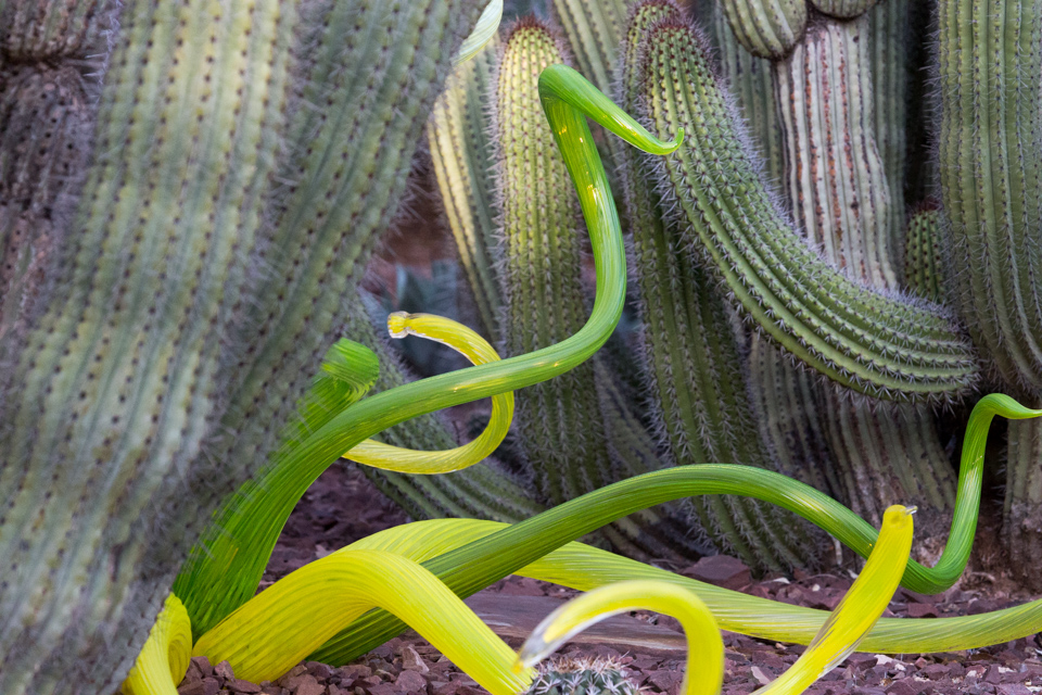 Glass Snakes