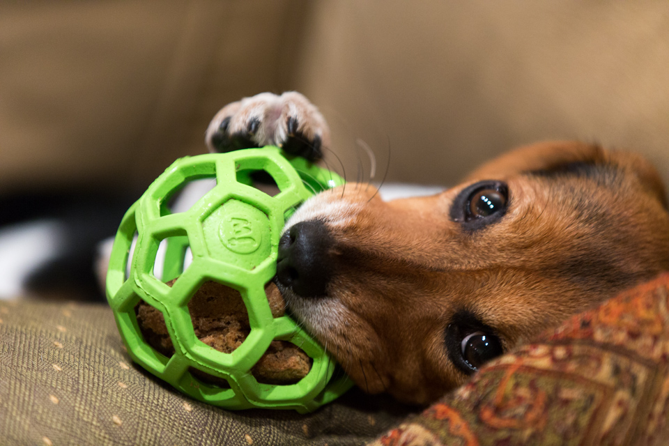 Green Treat Ball