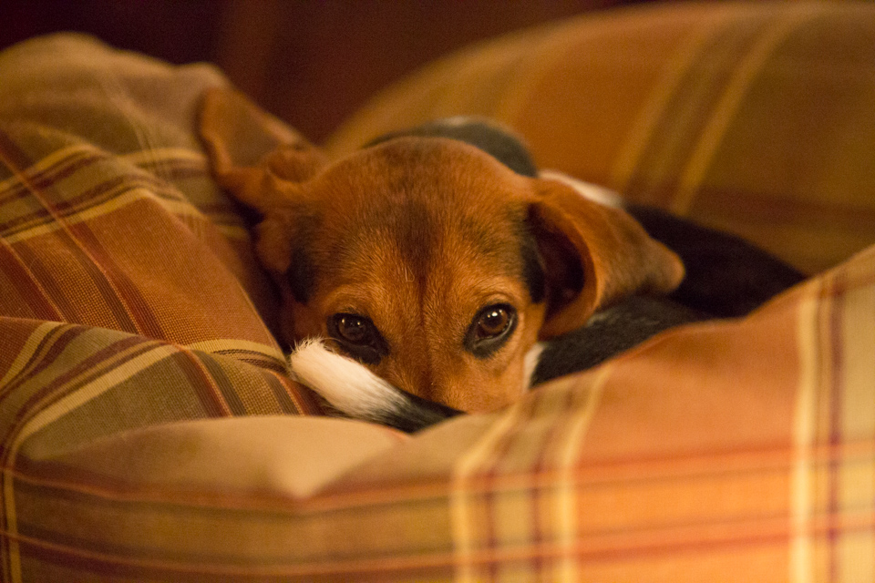 Keeping an Eye on You