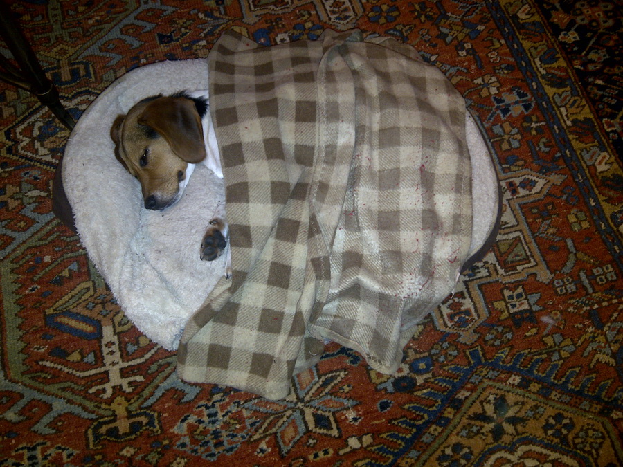 After 'the' Operation