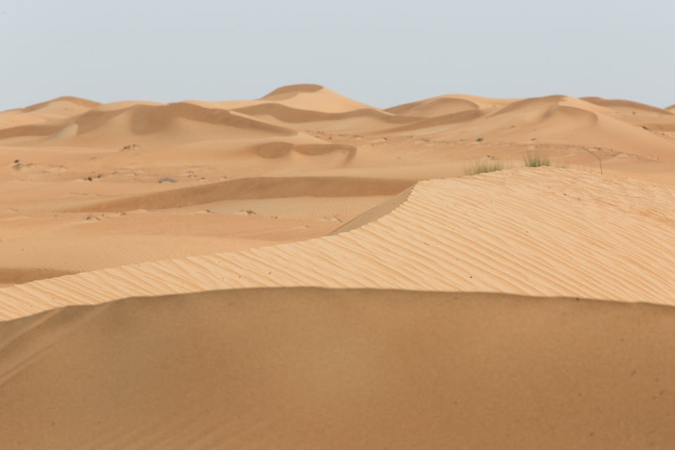 Desert Sand