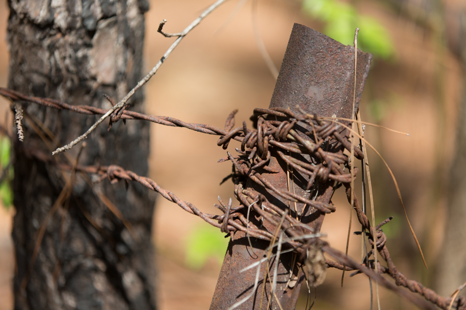 Barbed Wire