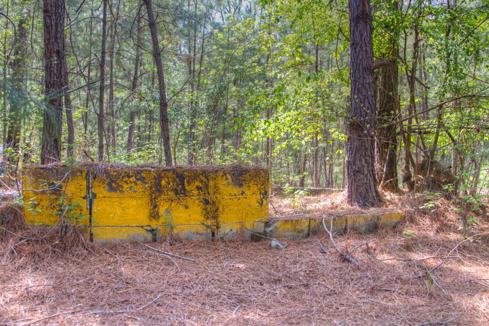 The Pit