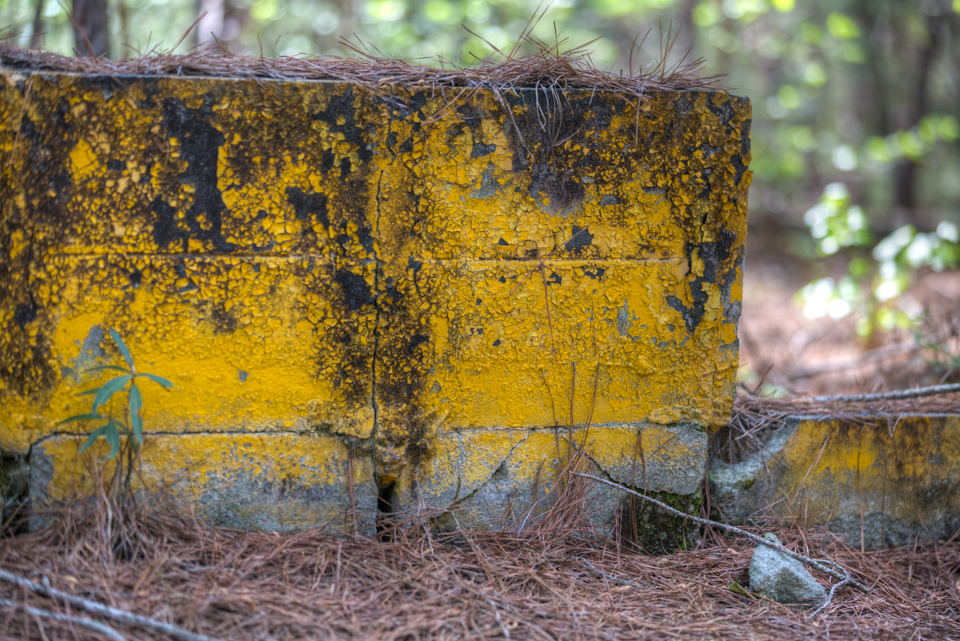 Old Wall