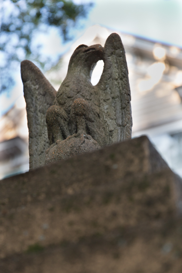 Eagle