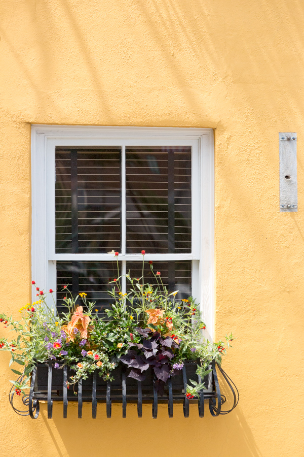 Pretty Window