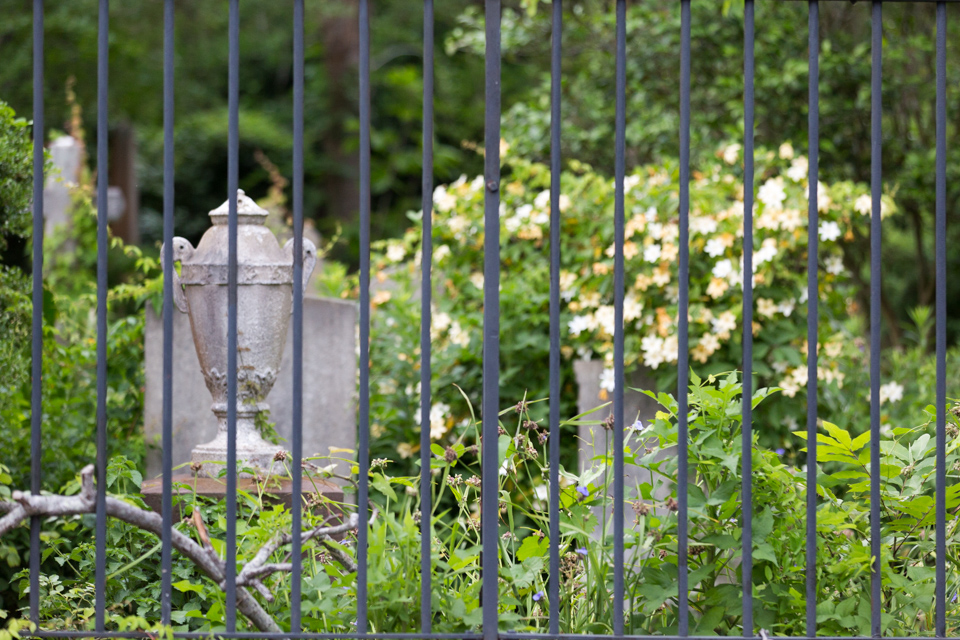 Overgrown Cemetery 