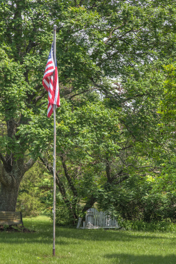 The Flag