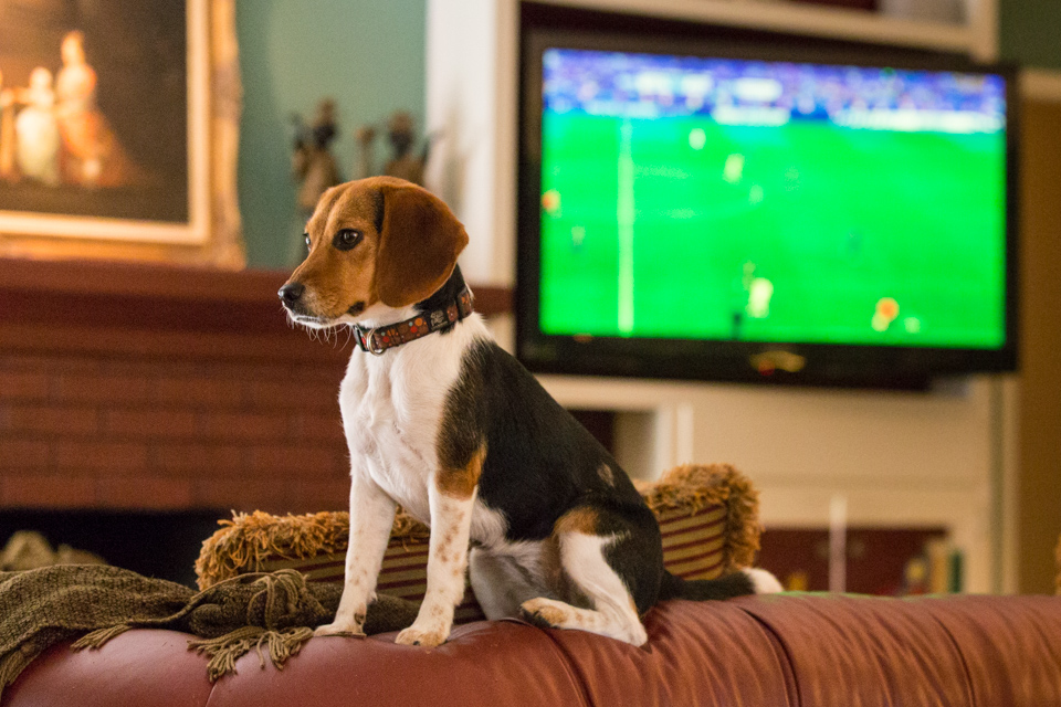 Not a Soccer Fan