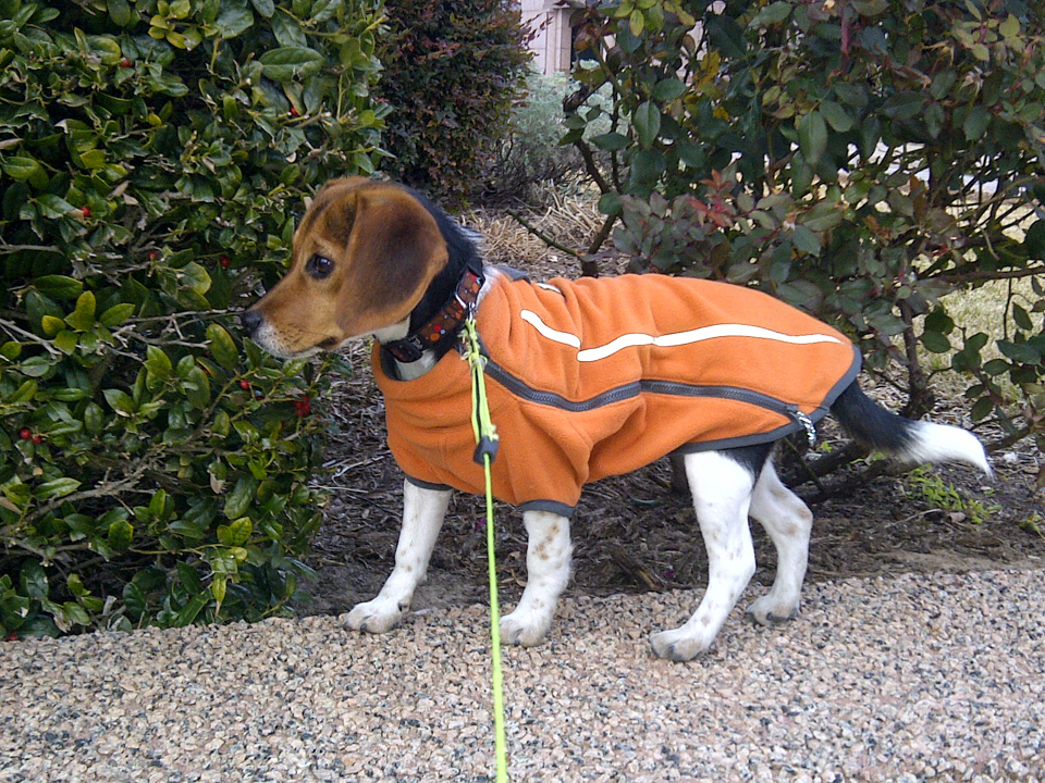 Pup in Fleece 